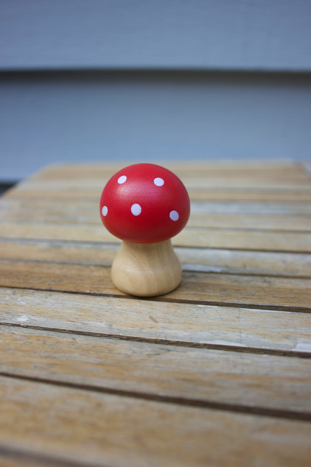 Mushroom Photo Holder