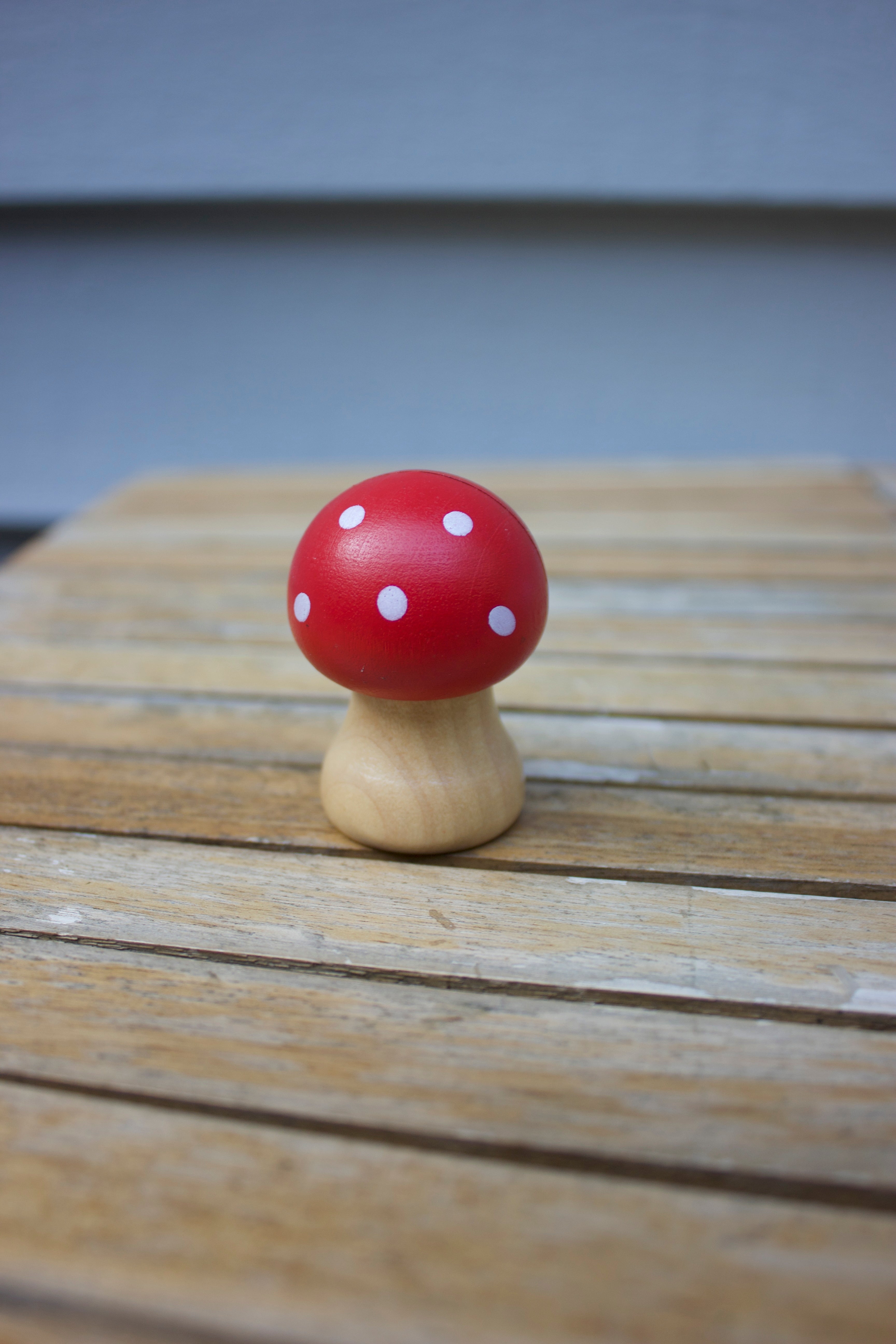 Mushroom Photo Holder