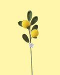Crochet Lemon Stem