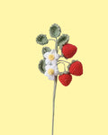 Crochet Strawberry Stem